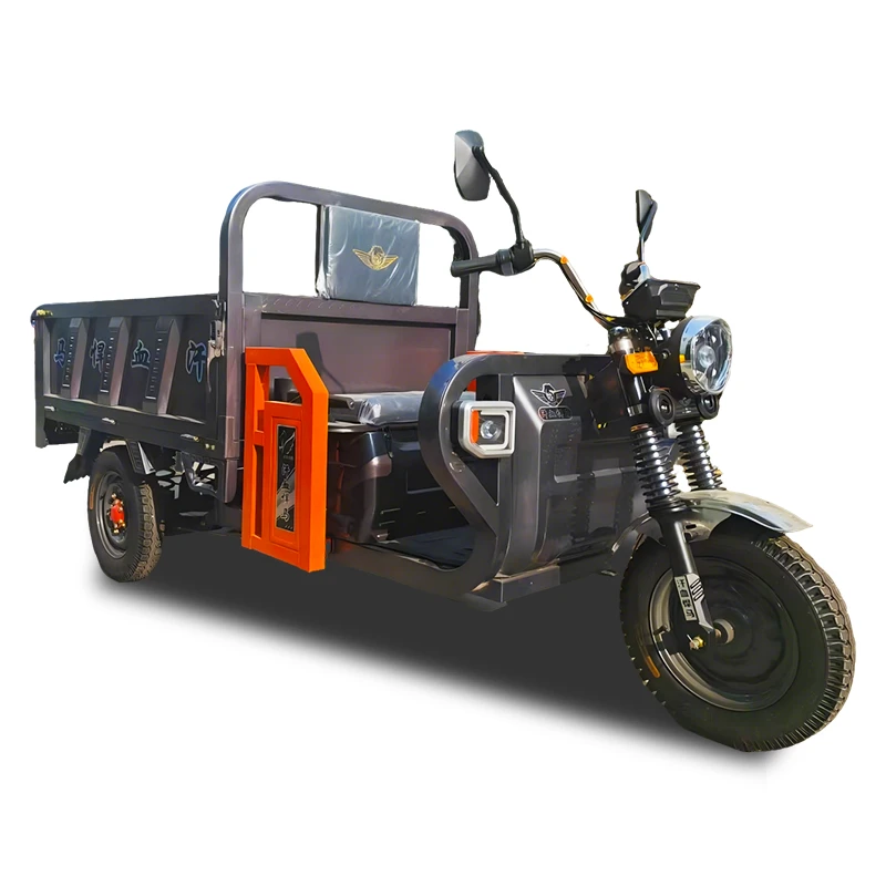 Permanent Magnet Electric Cargo Tricycle best