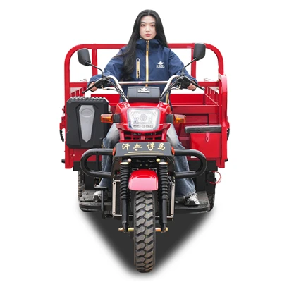 Heavy{0}}Duty 250cc, víz-hűtéses teherszállító tricikli